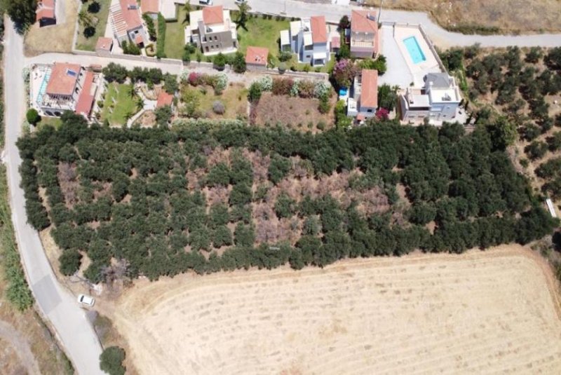 Tavronitis Kreta, Tavronitis: Schönes Grundstück mit Meerblick und hoher Baukapazität zu verkaufen Grundstück kaufen